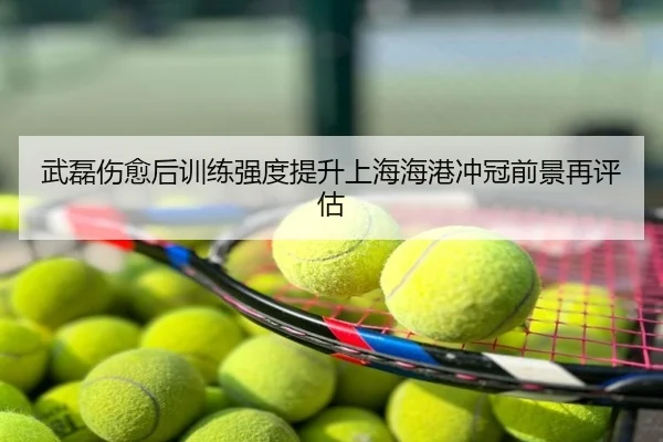 武磊伤愈后训练强度提升上海海港冲冠前景再评估
